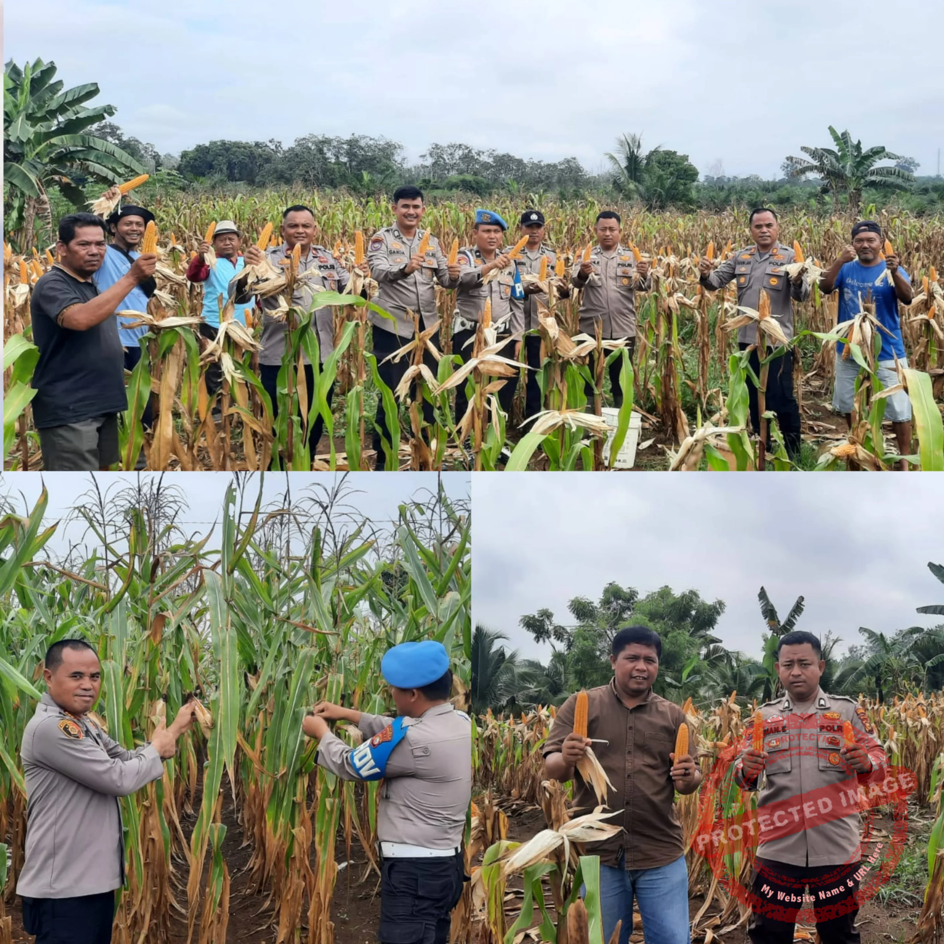 GridArt_20251204_102200709