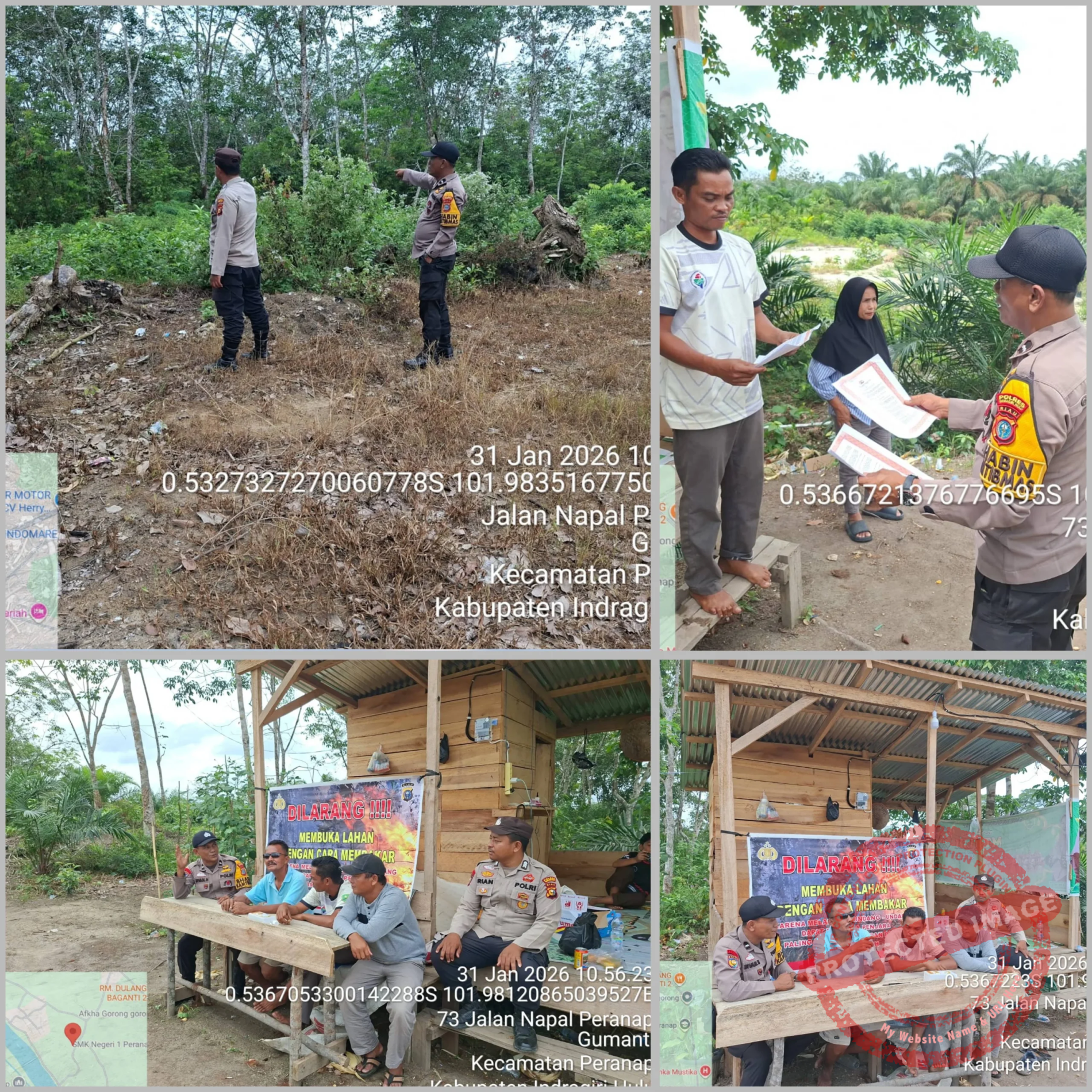 GridArt_20260131_144408989